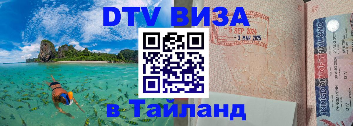 Оформление DTV визы под ключ: стоимость и тарифы, только загранпаспорт - 09.12.2025 